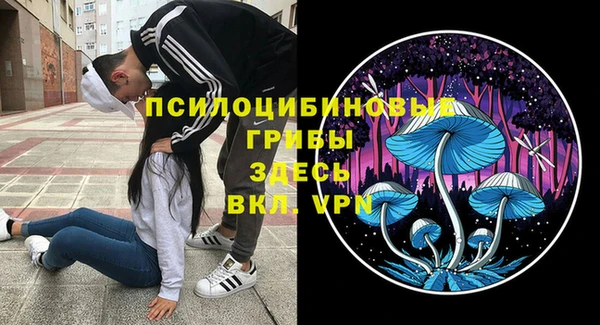 дмт Осташков
