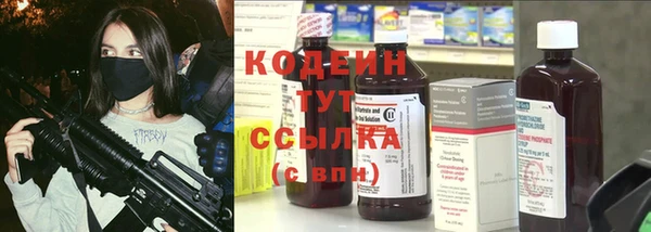сатива Осинники