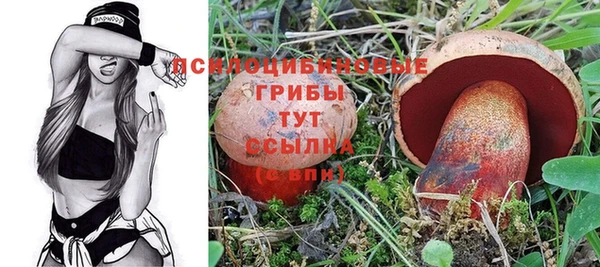 дмт Осташков
