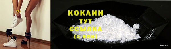 дмт Осташков