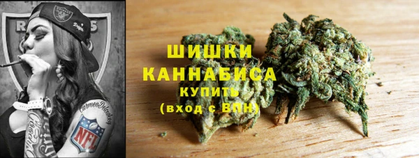 дмт Осташков