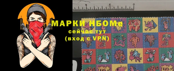дмт Осташков