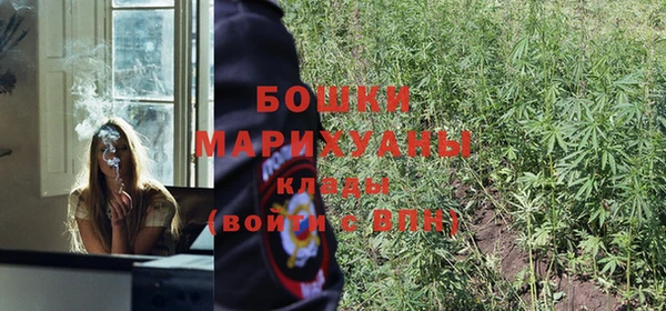 дмт Осташков