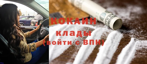 сатива Осинники