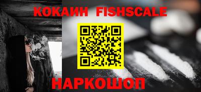 шишки Гай