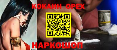 шишки Гай