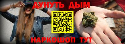 шишки Гай