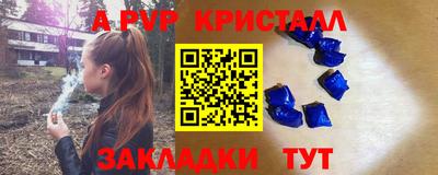 СК Гагарин