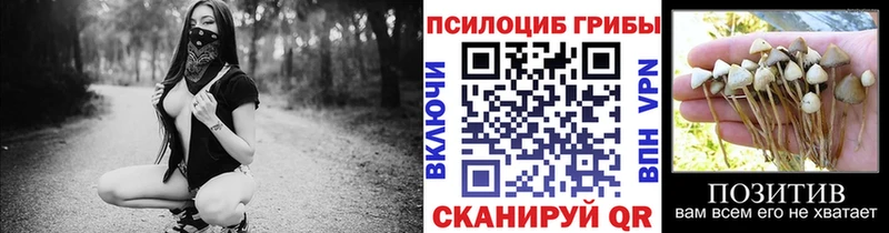 Галлюциногенные грибы Cubensis  где найти наркотики  Ивантеевка 